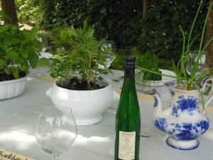 Festplatte - temporärer Garten, Ulrich Singer, Sabine Schäfer